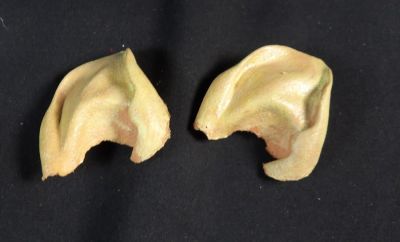 Original Set of Star Trek Vulcan Prop ears. Item as shown.