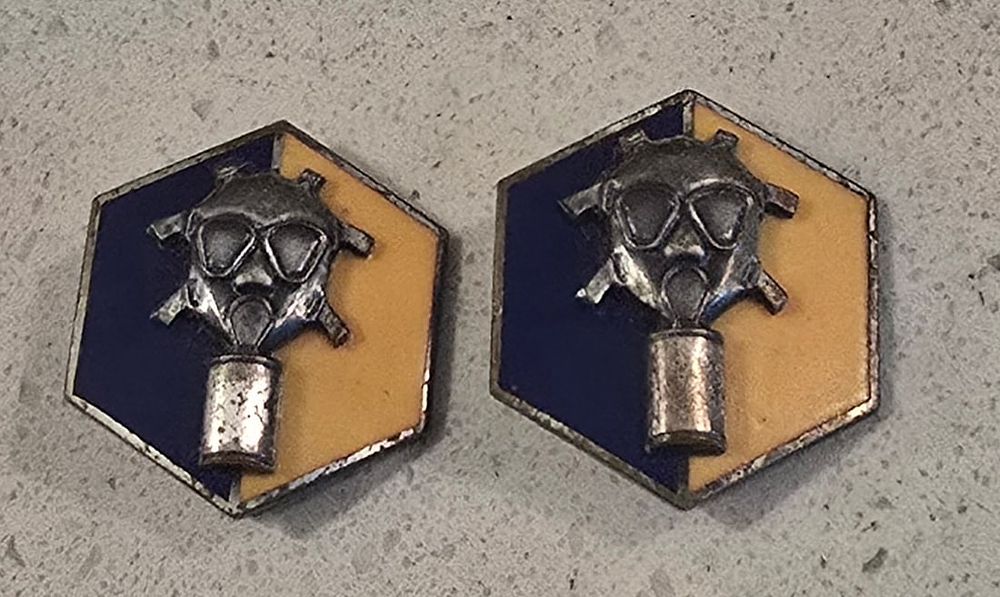 Lot 21: WWII Chemical Corp Replacement Training DIs pair Robbins