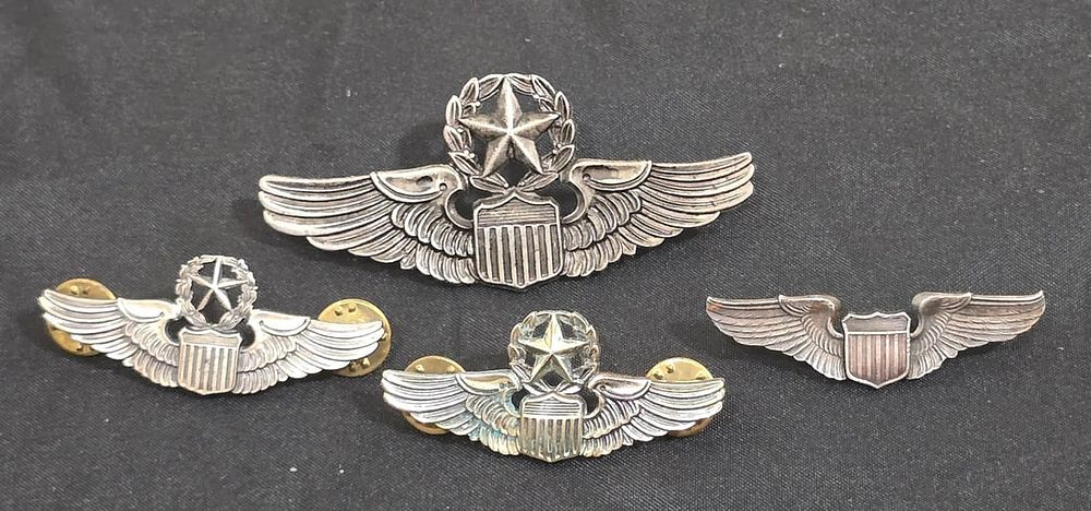 Lot 4: USAF Command Pilot Wing Group: N.S. Meyer 3-Inch