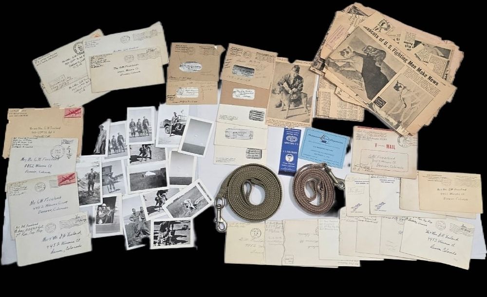 Lot 232: RARE 505th PIR KIA Archive: Max Jump Dog Handler