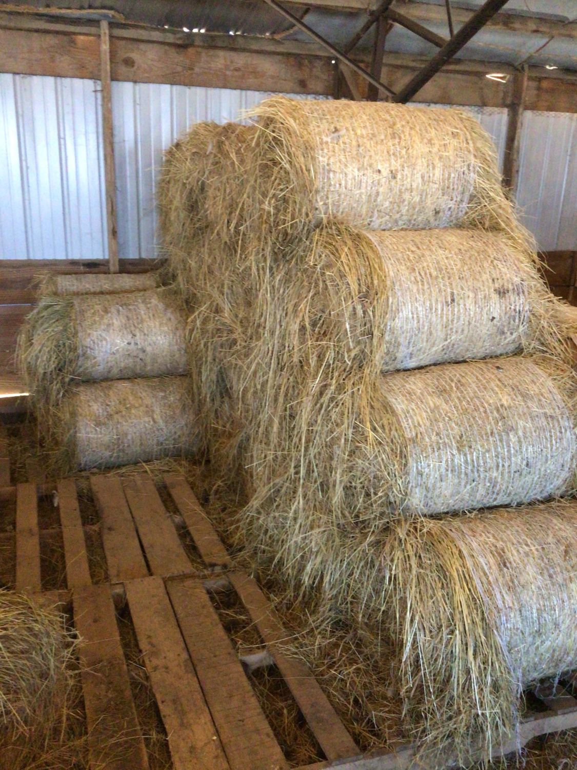 Lot 582 20 Miniature round bales of hay Easterly Auction Company