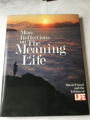 More reflection on the meaning of life