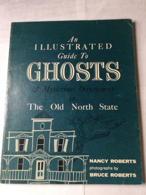 Illustrated guide to ghosts