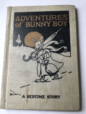 Adventures of Bunny boy