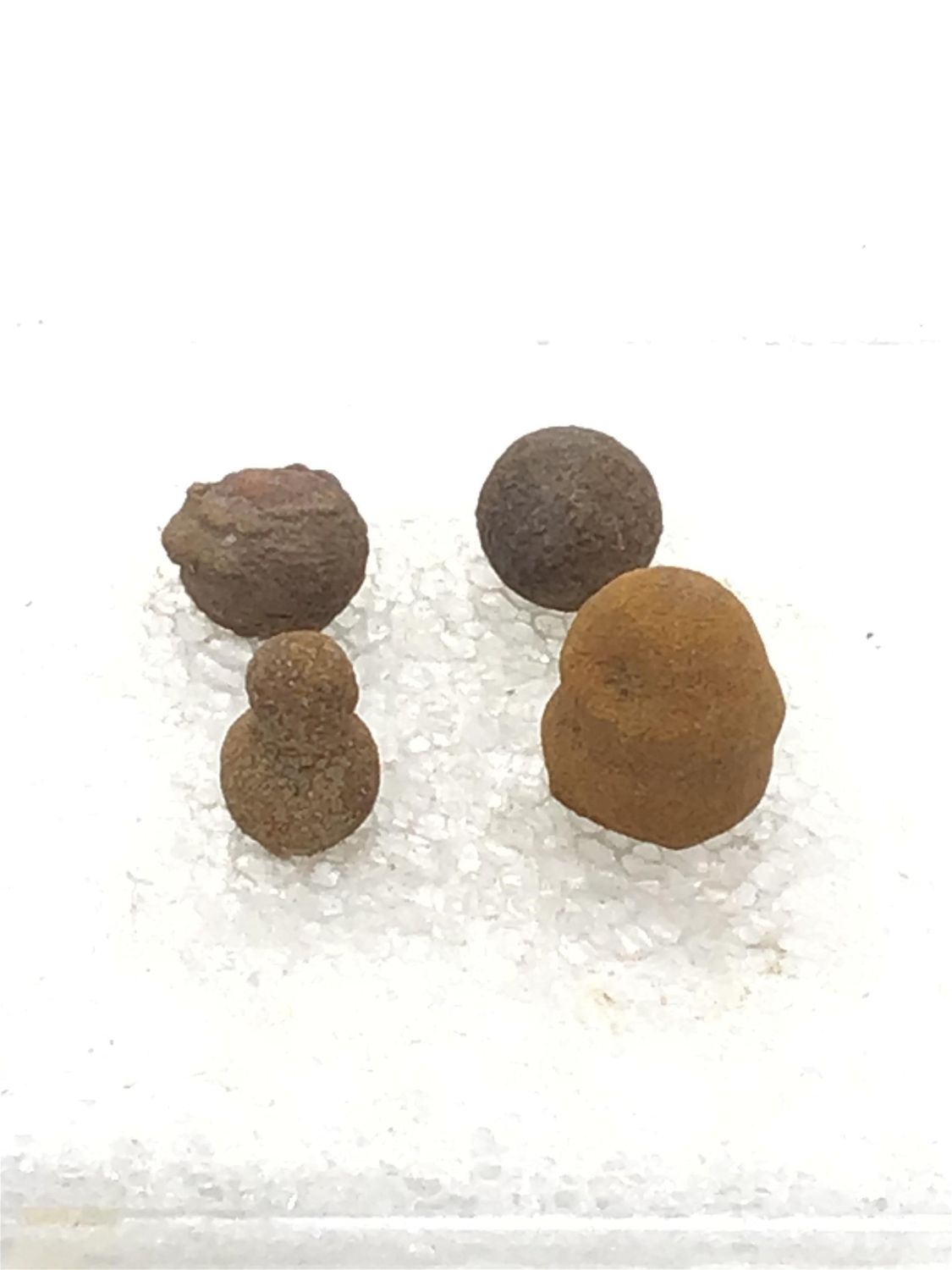 Lot 99 Limonite balls Colorado Easterly Auction Company