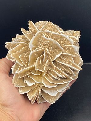 Rock, Crystal, Natural, Collectible, Mineral, Specimen. Gypsum Desert Rose Mexico 1lb 12oz