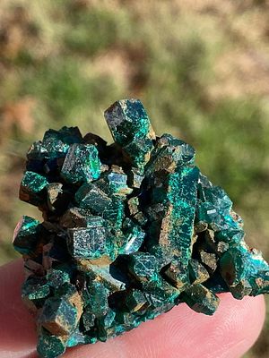 Rock, Crystal, Natural, Collectible, Mineral, Specimen. Dioptase on Quartz Republic of Congo 18g