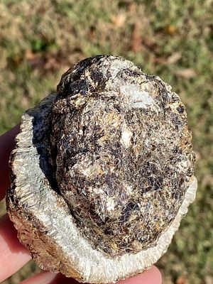 Rock, Crystal, Natural, Collectible, Mineral, Specimen. Anthophyllite in Phlogopite Czech 