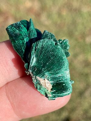 Rock, Crystal, Natural, Collectible, Mineral, Specimen. Velvet Malachite Morocco .4oz