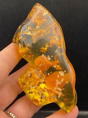 Amber, Fossil, Natural, Collectible, Specimen, Insect. Amber (Copal) with Insect Inclusions 