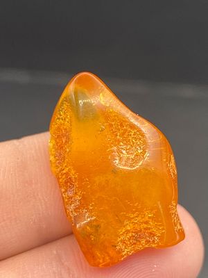 Amber, Baltic, Natural, Collectible, Insect, Inclusion. Baltic Amber with Fly Lithuania 40 