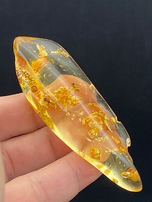Amber, Fossil, Natural, Collectible, Specimen, Insect. Amber (Copal) with Insect Inclusions 
