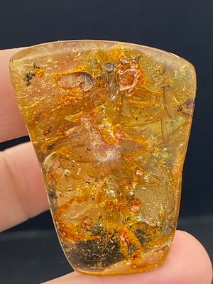 Amber, Fossil, Natural, Collectible, Specimen, Insect. Amber (Copal) with Insect Inclusion 