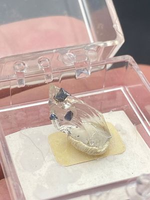 Rock, Crystal, Natural, Collectible, Mineral, Specimen. Anatase Norway C Hall Collection