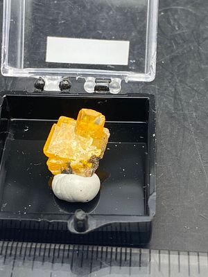Rock, Crystal, Natural, Collectible, Mineral, Specimen. Wulfenite Arizona C Hall Collection