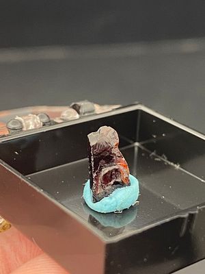 Rock, Crystal, Natural, Collectible, Mineral, Specimen. Koptite Garnets North Carolina C Hall 