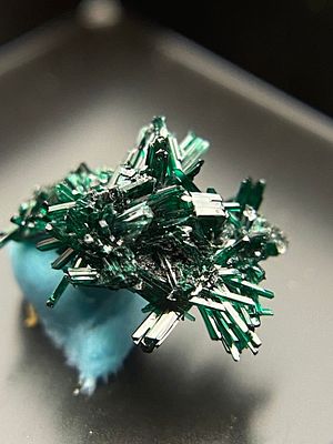 Rock, Crystal, Natural, Collectible, Mineral, Specimen. Atacamite Chile C Hall Collection