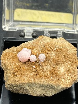 Rock, Crystal, Natural, Collectible, Mineral, Specimen. Rhodochrosite Mexico C Hall Collection