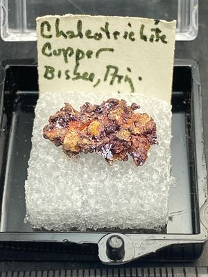 Rock, Crystal, Natural, Collectible, Mineral, Specimen. Chalcotrichite, Copper Arizona C Hall 