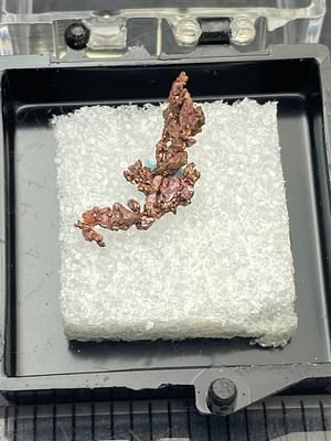 Rock, Crystal, Natural, Collectible, Mineral, Specimen. Chalcotrichite, Copper Arizona C Hall 