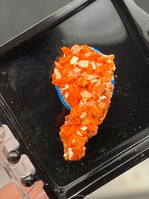 Rock, Crystal, Natural, Collectible, Mineral, Specimen. Crocoite Adelaide Mine, Tasmania C Hall 