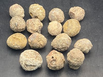 Rock, Crystal, Natural, Collectible, Mineral, Specimen. Agatized Thunder Eggs Oregon 15 Pieces