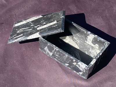 Orthoceras, Fossil, Rock, Natural, Decor, Collectible, Box. Marble Box with Fossil Orthoceras 