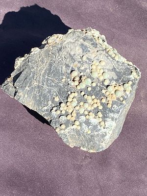 Rock, Crystal, Natural, Collectible, Mineral, Specimen. Wavelite on Matrix Avant, Arkansas 2lb 10oz
