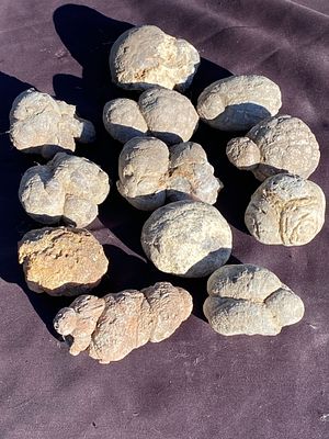 Rock, Crystal, Natural, Collectible, Mineral, Specimen. Agate Thunder Eggs Oregon 12 Pieces