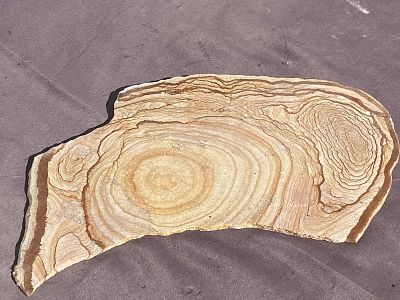 Rock, Crystal, Natural, Collectible, Mineral, Slab, Rough. Picture Jasper Cutting Rough/Slab