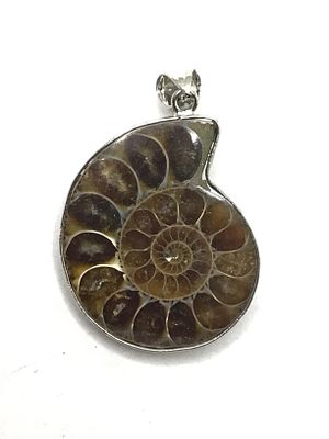 Sterling silver pendant. Sterling pendant with fossil Ammonite stone. 11.33 grams total weight.