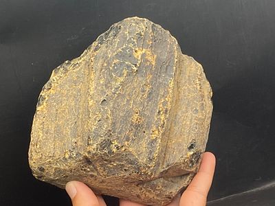 Amber, Fossil, Natural, Unpolished, Collectible, Specimen,. Amber (Copal) Unpolished Colombia 10 