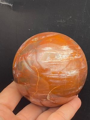 Petrified Wood, Natural, Decor, Collectible, Carving, Sphere. Sphere Petrified Wood Madagascar .6k 3"