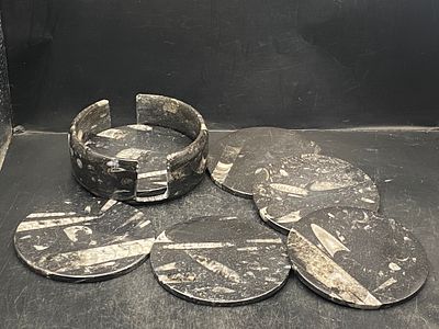 Orthoceras, Fossil, Rock, Natural, Decor, Collectible, Coasters. Coasters Fossil Orthoceras in 