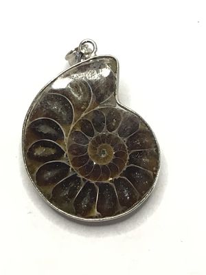 Sterling silver pendant. Sterling pendant with fossil Ammonite stone. 10.12 grams total weight.