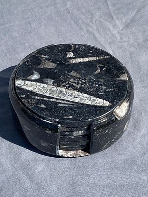Coaster, Orthoceras, Marble, Fossil, Rock, Decor. Coasters: Fossil Orthoceras in Marble Morocco 