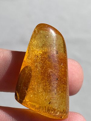 Amber, Copal, Rock, Fossil, Collectible, Specimen. Amber (Copal) with Leaf/Insect Inclusions 