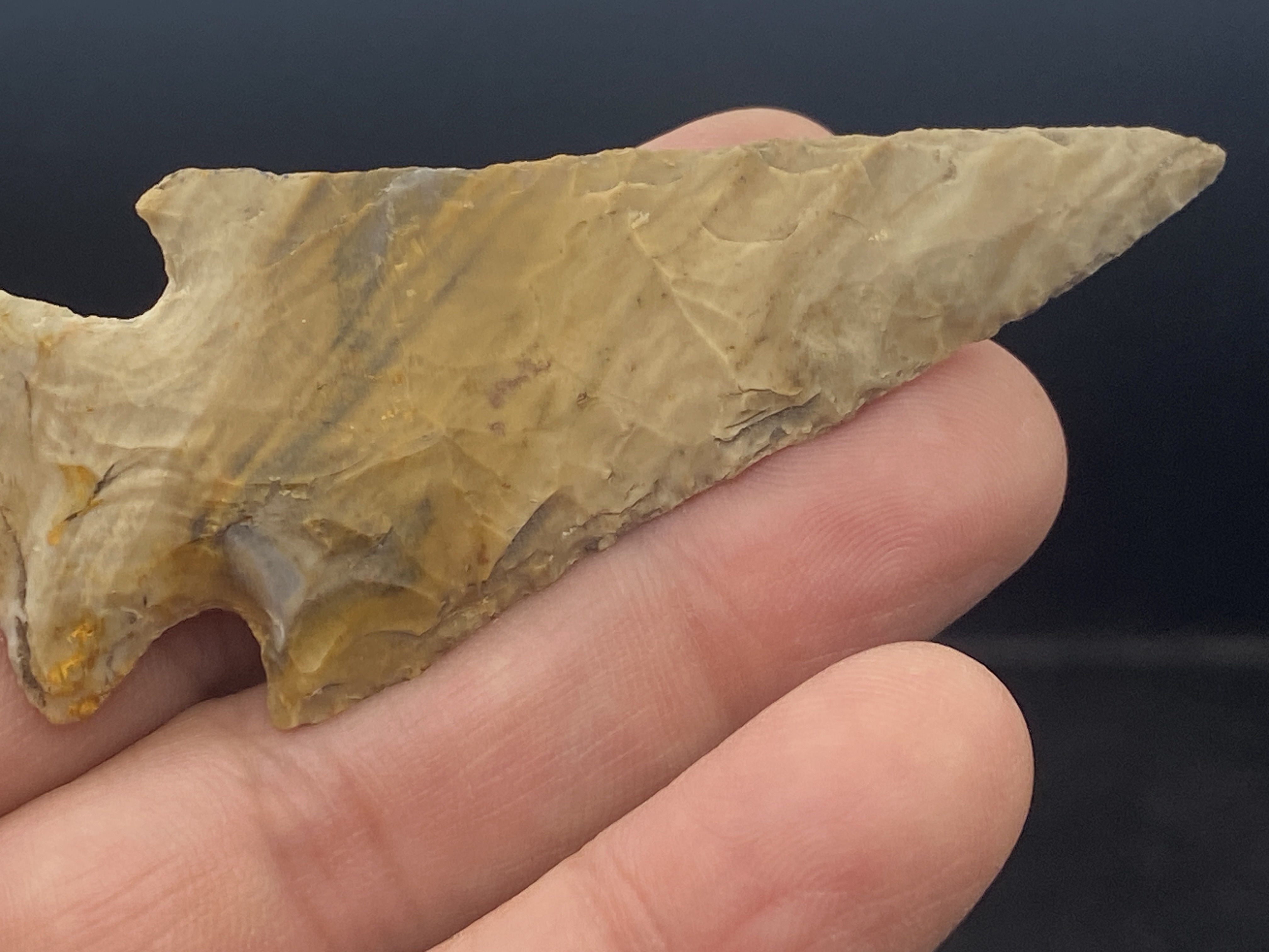 Artifact, Point, Arrowhead, Collectible, Specimen