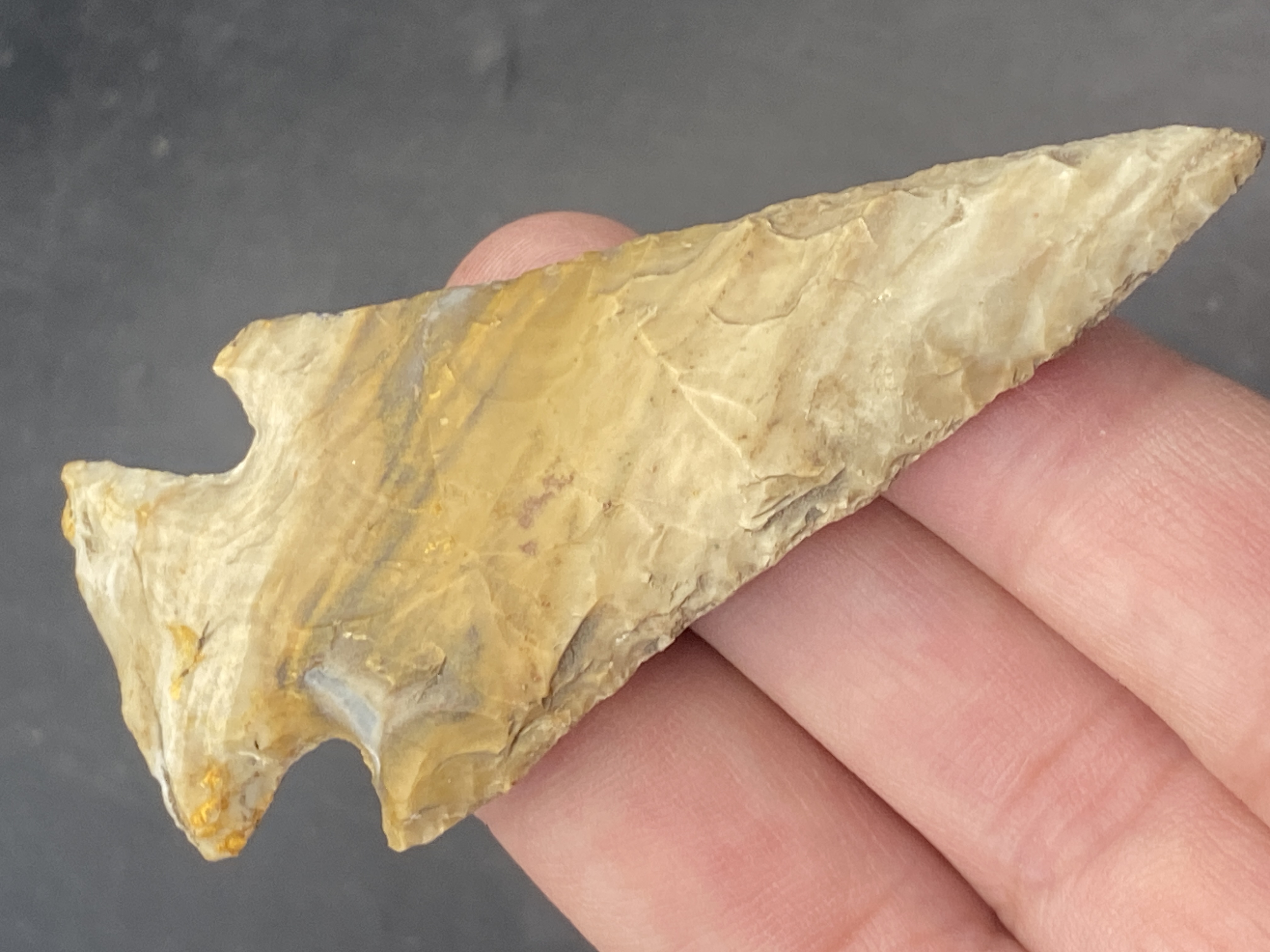 Artifact, Point, Arrowhead, Collectible, Specimen