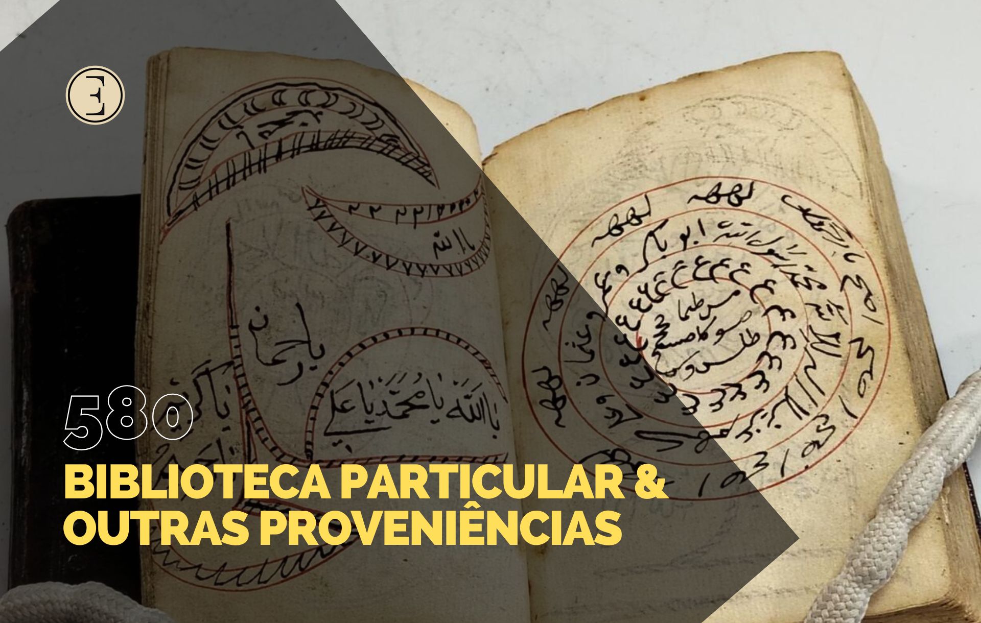 Ecl&eacute;ctica Leil&otilde;es | Subasta 580