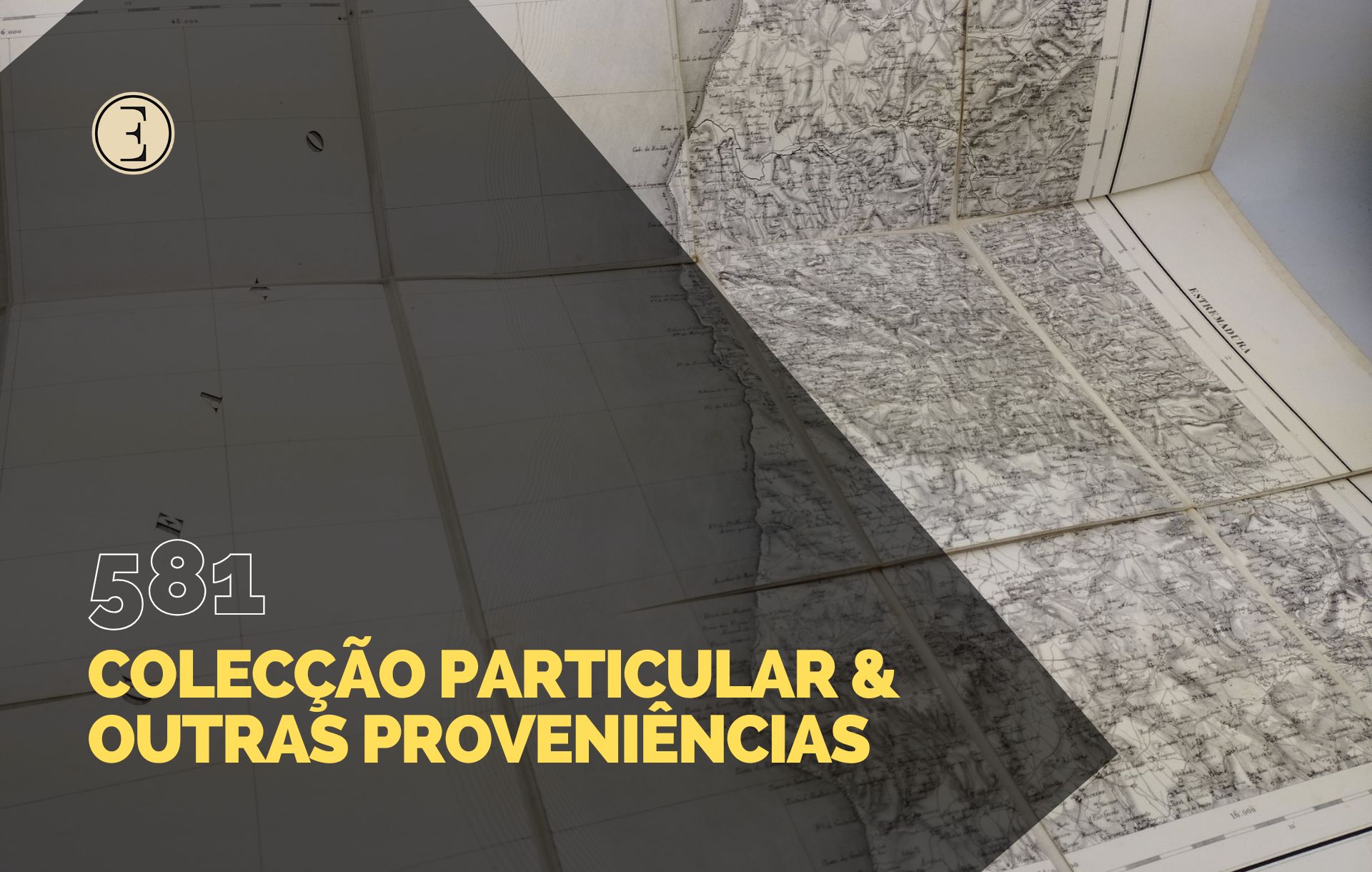 Ecl&eacute;ctica Leil&otilde;es | Subasta 581