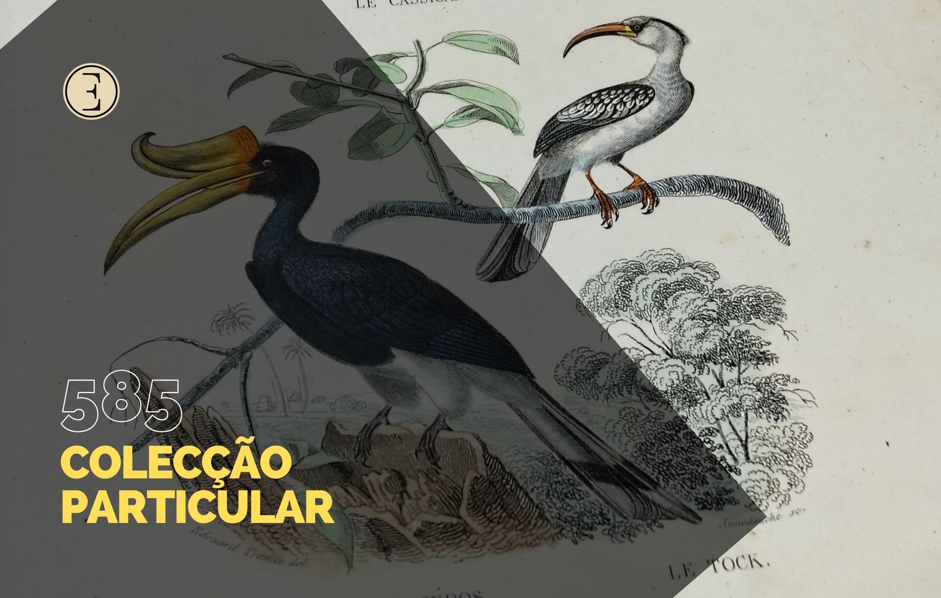 Ecl&eacute;ctica Leil&otilde;es | Subasta 585