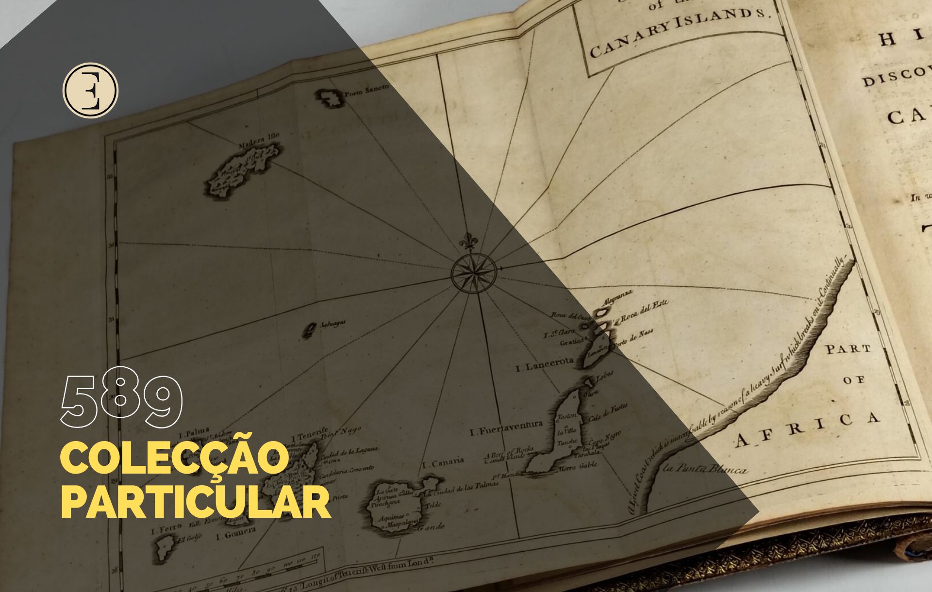Ecl&eacute;ctica Leil&otilde;es | Subasta 589