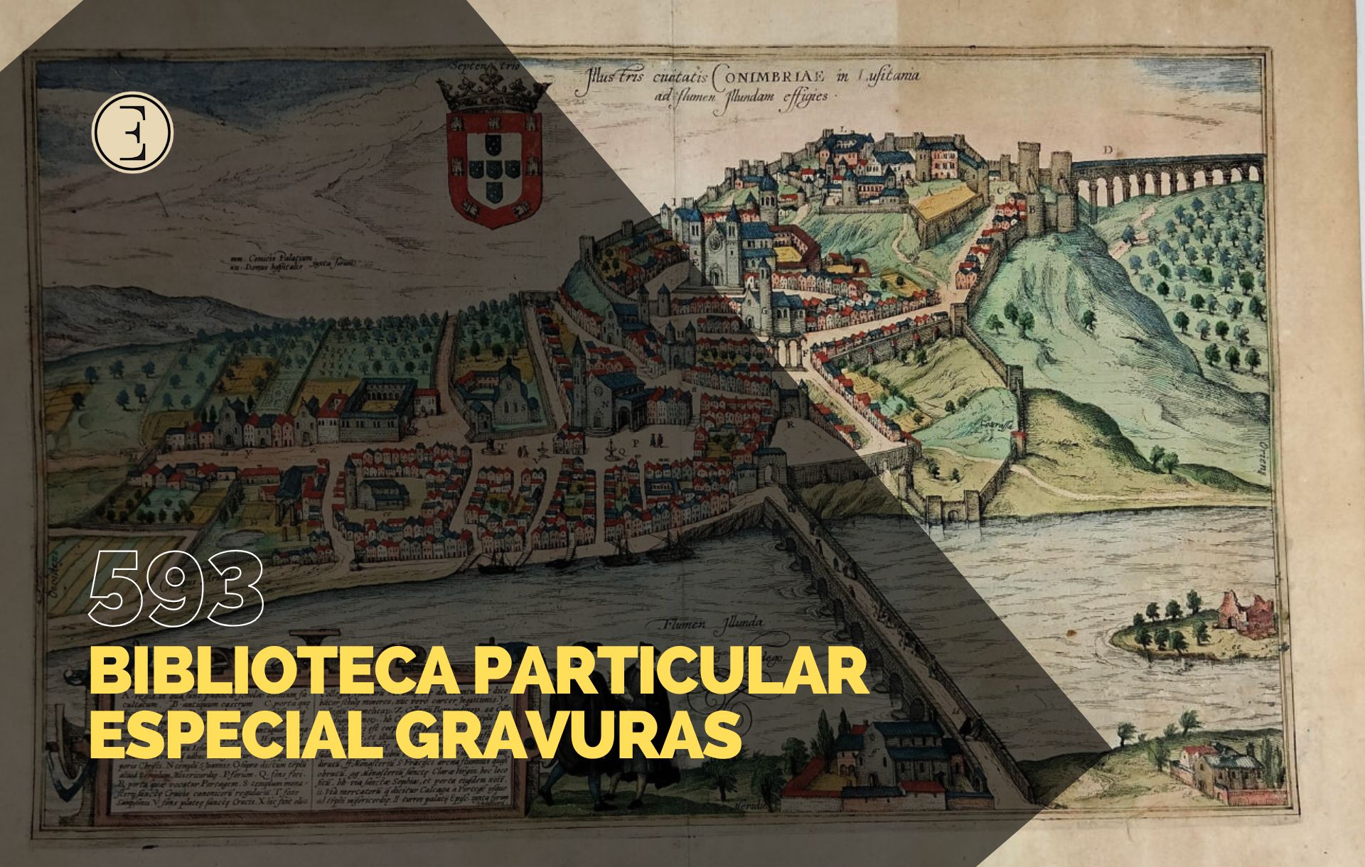 Ecl&eacute;ctica Leil&otilde;es | Subasta 593
