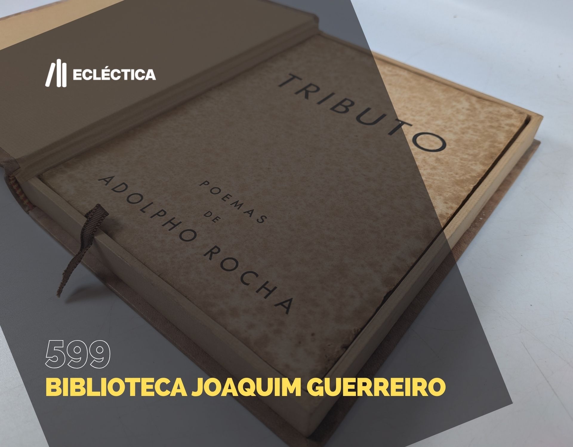 Ecl&eacute;ctica Leil&otilde;es | Leil&atilde;o 599 | Biblioteca Joaquim Guerreiro
