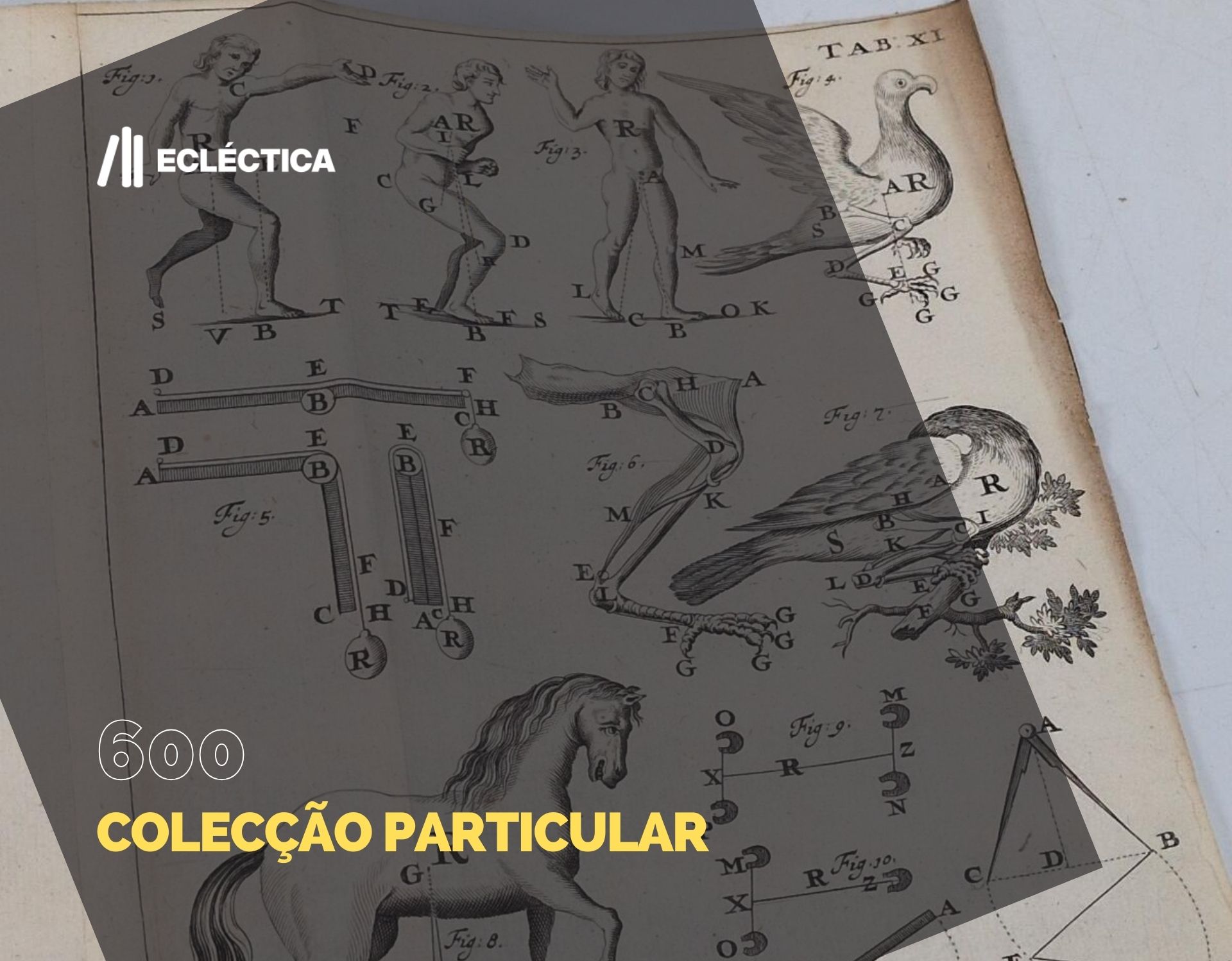 Ecl&eacute;ctica Leil&otilde;es | Leil&atilde;o 600 | Colec&ccedil;&atilde;o Particular