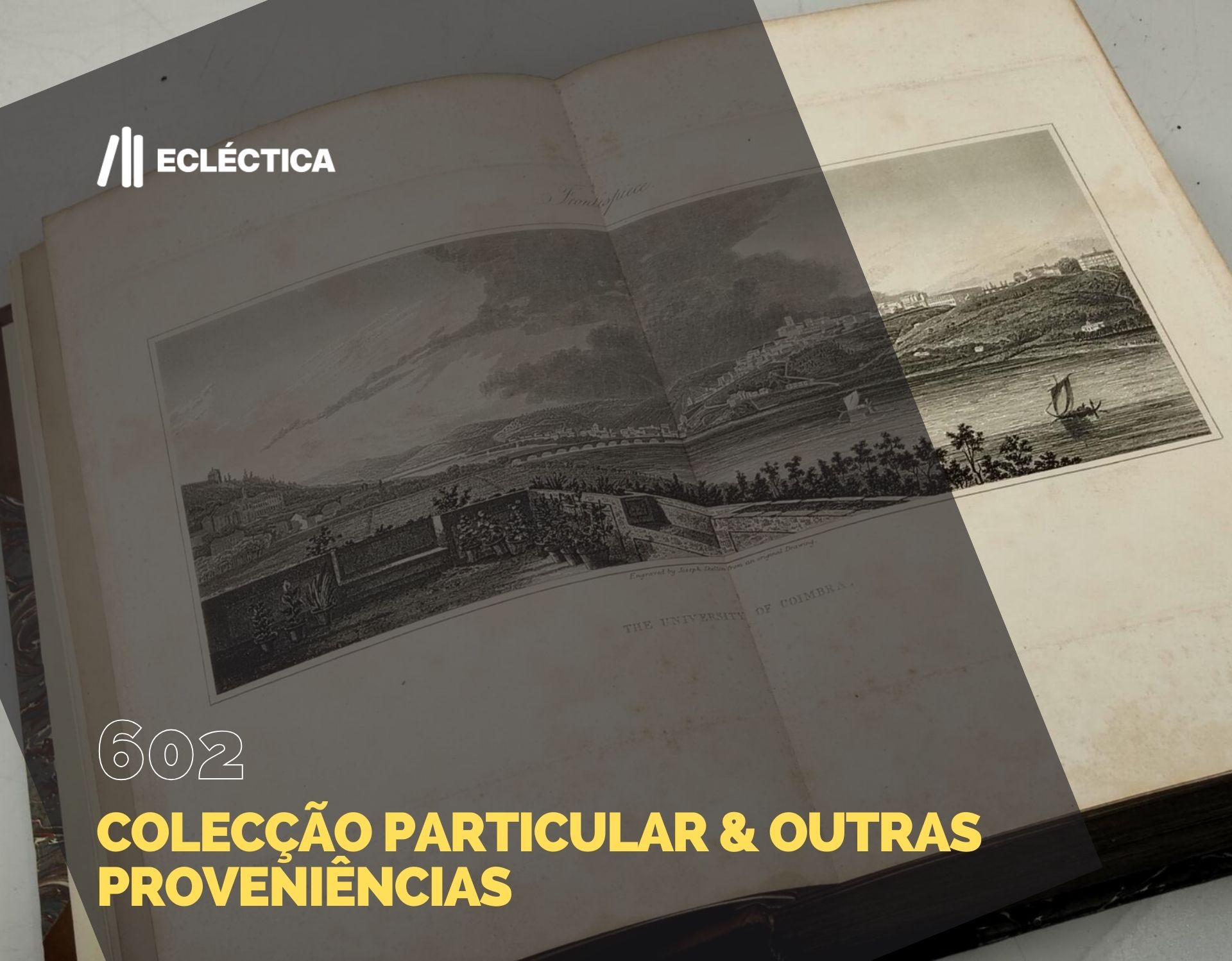 Ecl&eacute;ctica Leil&otilde;es | Subasta 602