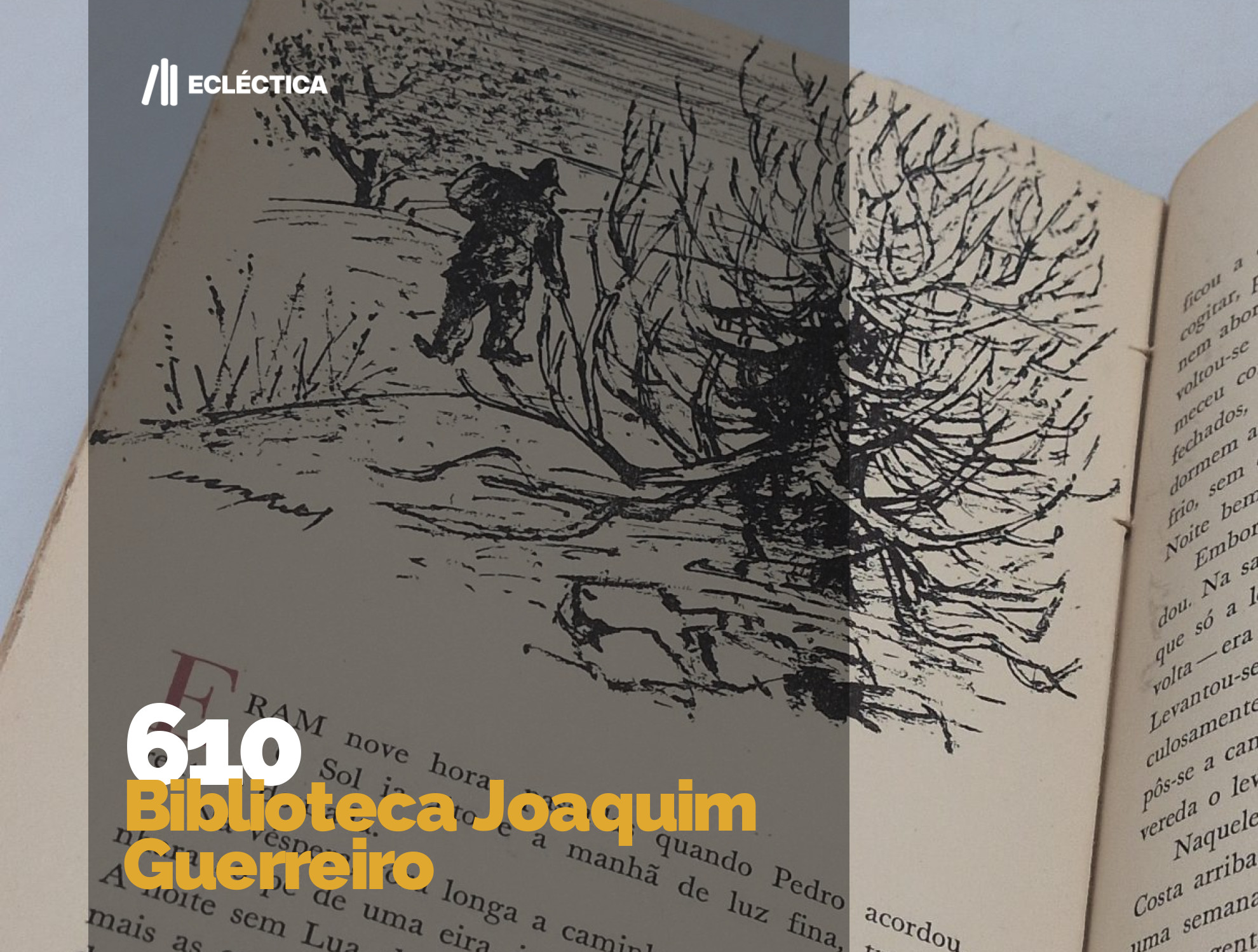 Ecl&eacute;ctica Leil&otilde;es | Subasta 610