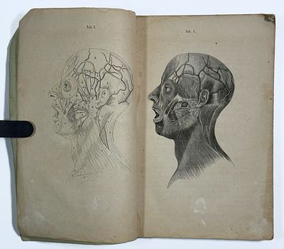 [Ex libris д-ра м. наук, проф. А. Зильбера, 1869] Док-р Иос. Гребо. Атлас по руководству общей 