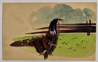 Глухарь. [Не забывать и лихом не поминать] Открытое письмо с аппликацией и ручной дорисовкой. 